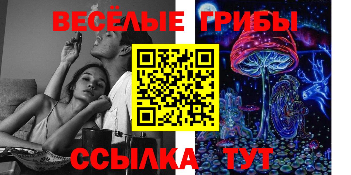 Вятские Поляны  Галлюциногенные грибы ЛСД  Вход с VPN 