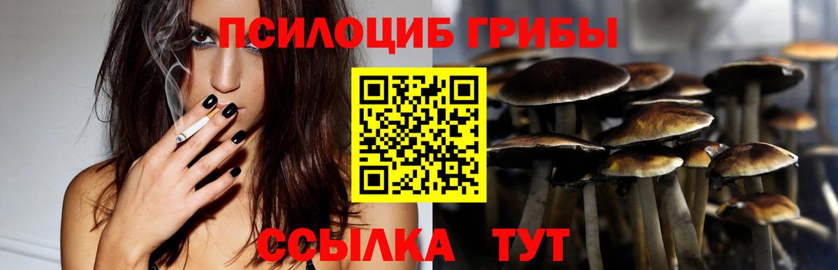Псилоцибиновые грибы ЛСД Вятские Поляны